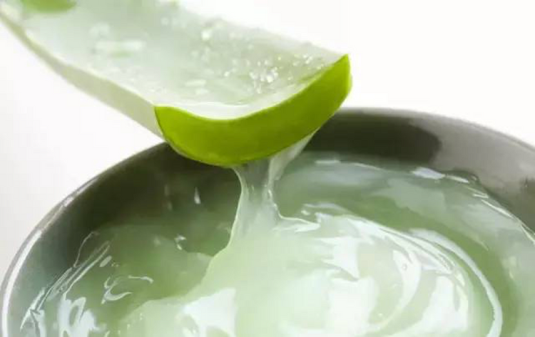 Aloe Master Care