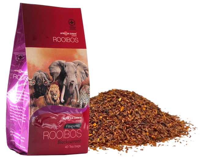 African Dawn Rooibos Blackcurrant 3 Pack
